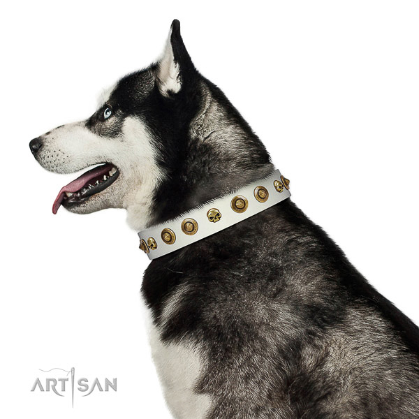 Reliable full grain natural leather dog collar with embellishments for your four-legged friend