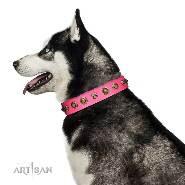 Unique genuine leather dog collar with studs