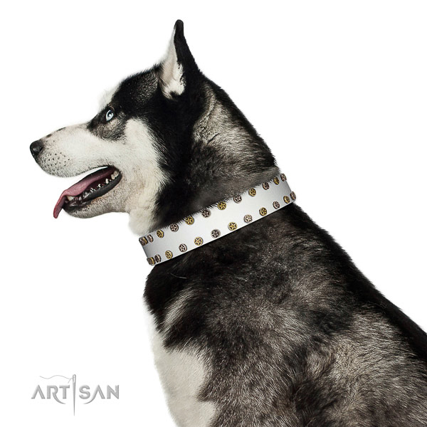Significant full grain leather dog collar with strong embellishments