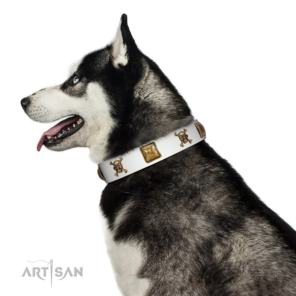Unusual full grain natural leather dog collar with reliable adornments