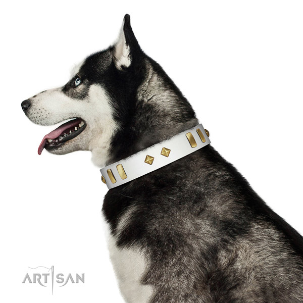 Fancy walking high quality full grain natural leather dog collar with decorations