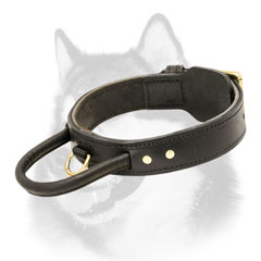 Husky training dog collar with handle