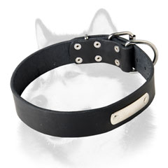 Siberian Husky leather dog collar with name plate