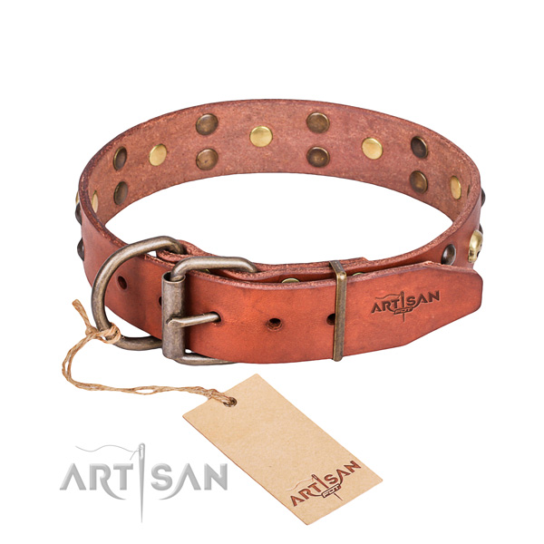 Leather dog collar with thoroughly polished edges for comfy everyday wearing