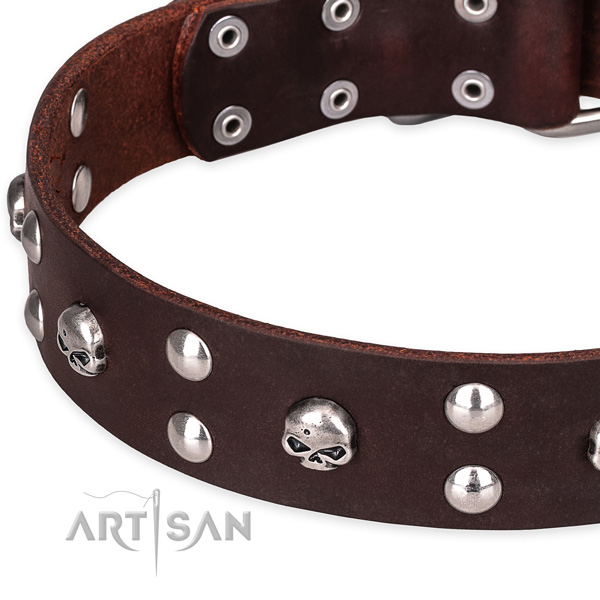 Day-to-day leather dog collar with astonishing studs