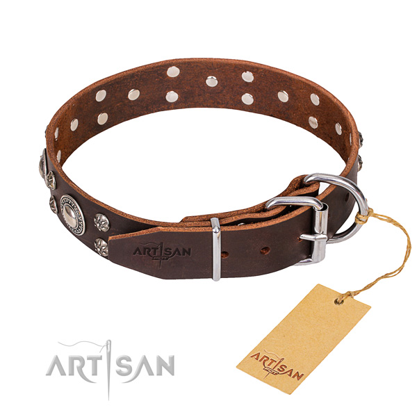 Versatile leather collar for your beloved pet