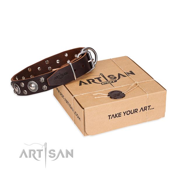 Everyday leather dog collar with remarkable decorations