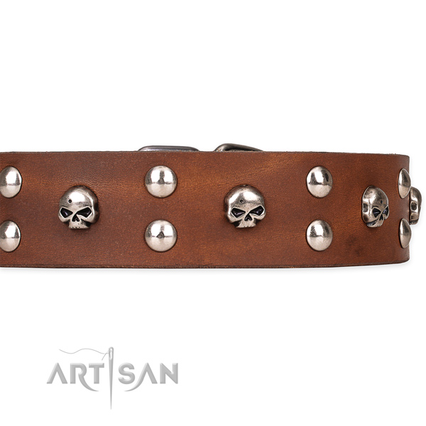 Genuine leather dog collar with smooth finish