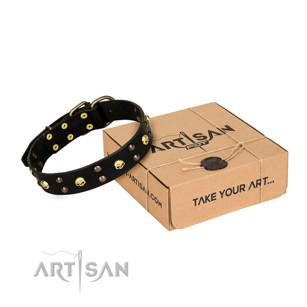 Resistant leather dog collar with durable details