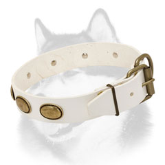Leather dog collar for Siberian Husky with brass hardware