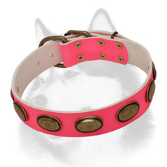 Leather dog collar for Siberian Husky with brass plates