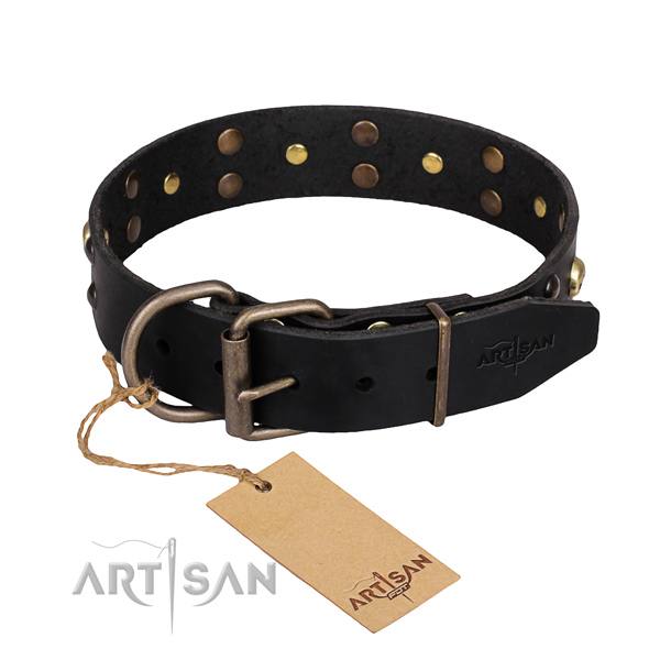 Everyday leather dog collar with astonishing decorations