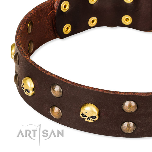 Full grain leather dog collar for training