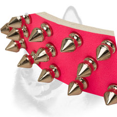 Rounded nickel plated spikes of Siberian Husky collar