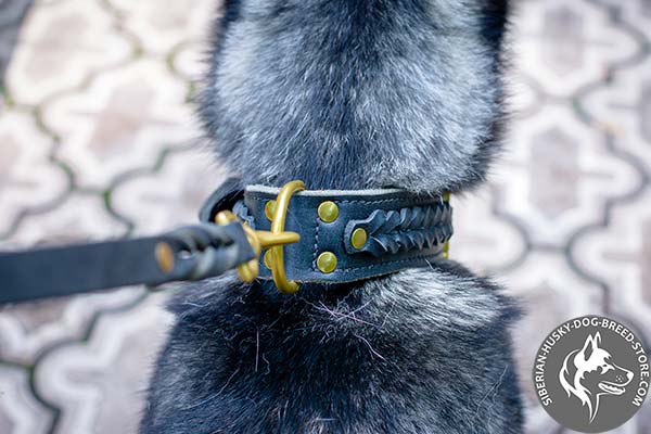 Siberian Husky genuine leather collar with brass D-ring