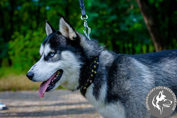 Exquisite design Siberian Husky decorated collar