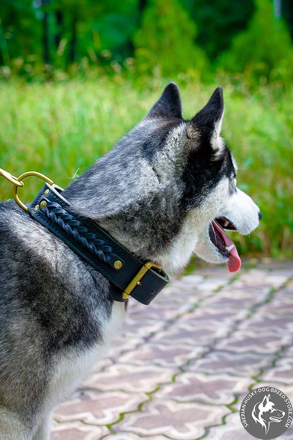 Handcrafted Siberian Husky collar