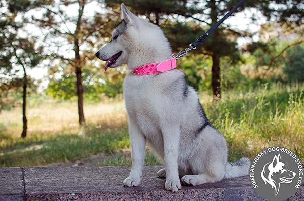 Siberian Husky health-friendly leather collar