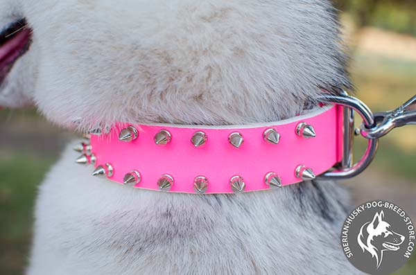 Siberian Husky leather collar with 2 rows of manually set spikes