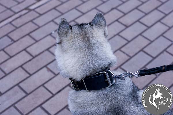 Siberian Husky genuine leather collar with practical buckle