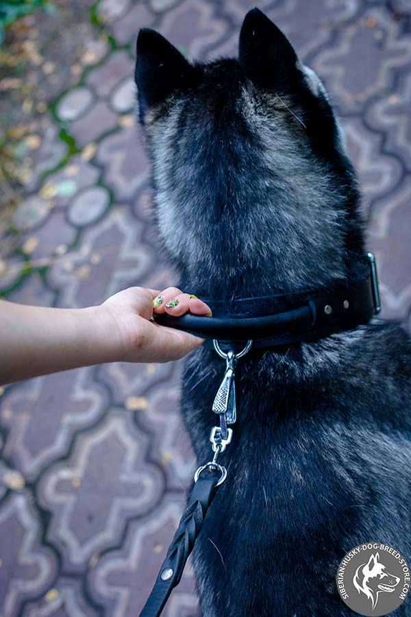 Siberian Husky collar with riveted handle