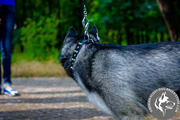 Tear-resistant Siberian Husky genuine leather collar