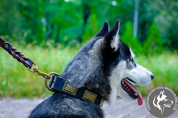 Vintage style leather dog collar