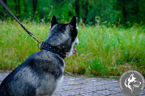 Dog collar with handset studs