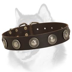 Siberian Husky breed leather dog collar with luxurious decoration