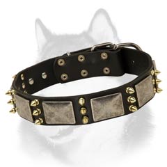 Siberian Husky breed leather dog collar with wide plates and spikes