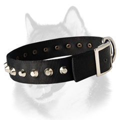 Siberian Husky breed nylon dog collar with nickel fittings