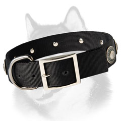 Siberian Husky breed nylon dog collar with rust-proof fittings