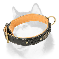 Fashion leather Siberian Husky collar