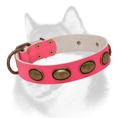 Adorned leather Siberian Husky collar for walking