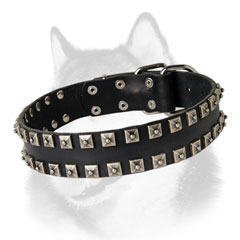 Fashion leather Siberian Husky collar decorated with studs