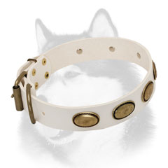 Fashion leather Siberian Husky collar for walking