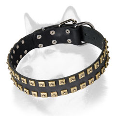 Fashion leather Siberian Husky collar with two rows of brass studs