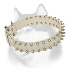 Walking-in-style leather Siberian Husky collar