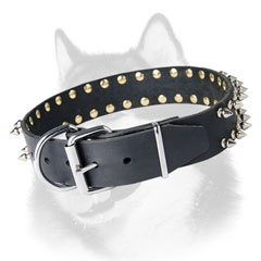 Leather Siberian Husky collar with nickel plated fittings