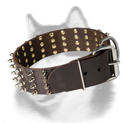 Leather Siberian Husky collar with nickel plated hardware