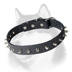 Soft leather Siberian Husky collar
