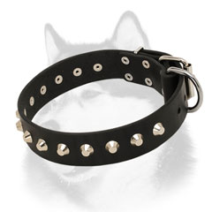 Stylish leather Siberian Husky collar