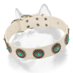 Fashion leather Siberian Husky collar