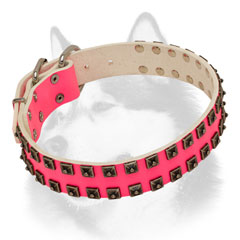 Female leather Siberian Husky collar