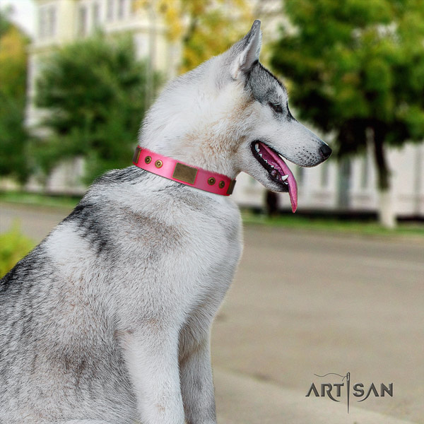 Siberian Husky significant adorned leather dog collar