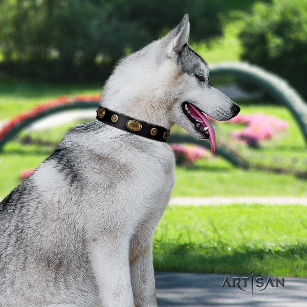 Siberian Husky unusual decorated full grain genuine leather dog collar for stylish walking