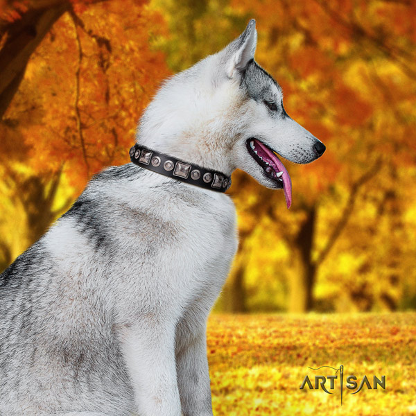 Siberian Husky amazing adorned full grain leather dog collar