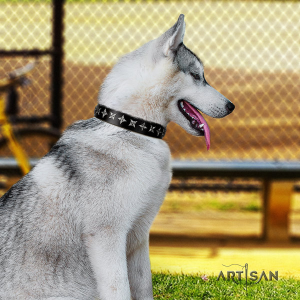 Siberian Husky remarkable decorated full grain natural leather dog collar for daily use