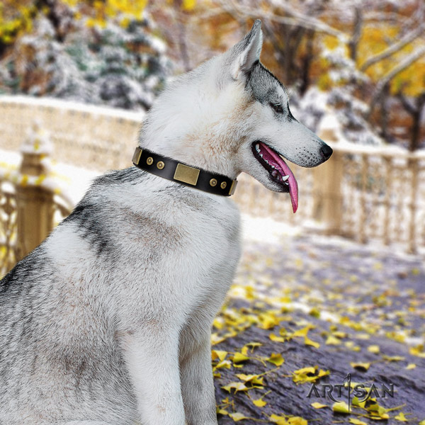 Siberian Husky exquisite embellished full grain natural leather dog collar