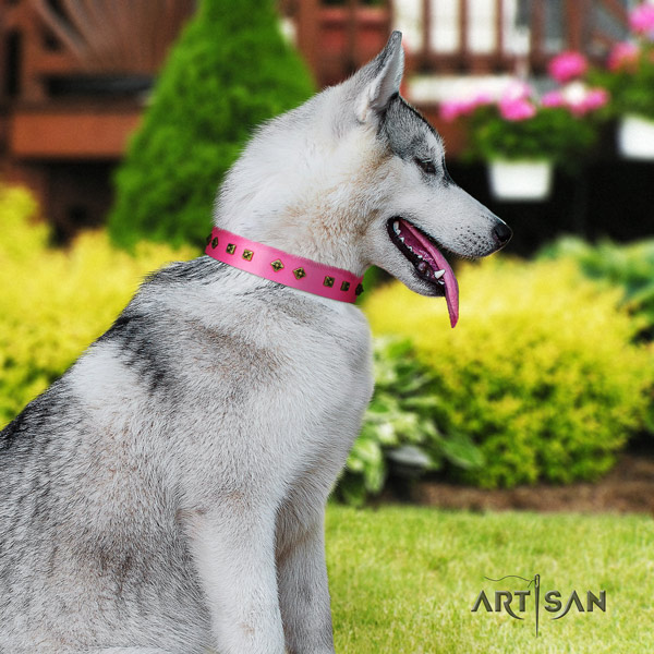 Siberian Husky top notch embellished natural genuine leather dog collar